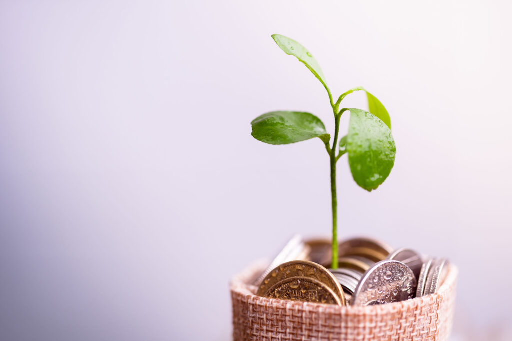Asset Protection